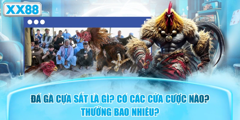 Đá Gà Cựa Sắt Là Gì? Có Các Cửa Cược Nào? Thưởng Bao Nhiêu?