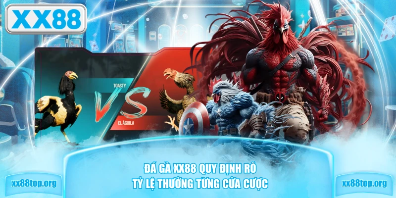 Đá gà XX88 quy định rõ tỷ lệ thưởng từng cửa cược